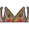 Accessories * | Casey Underwood Cutthroat Rise Decal Sticker Eds Fly Shop Promotion