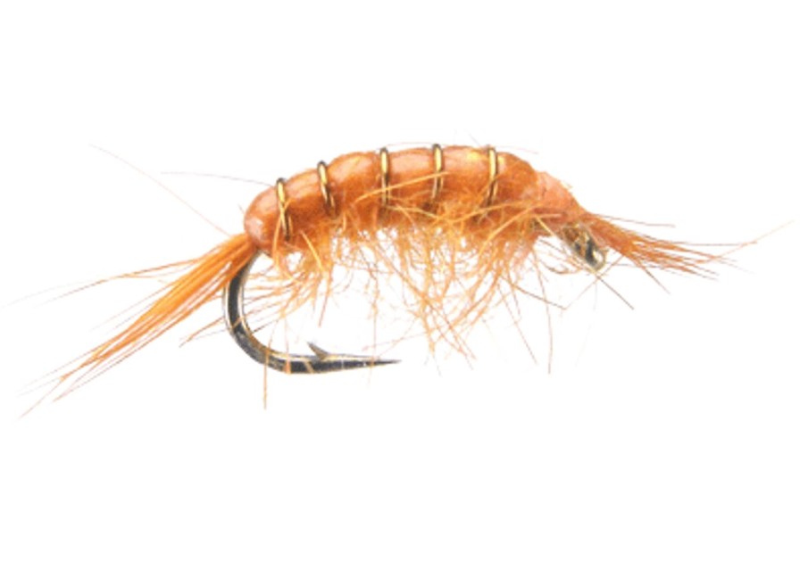 Flies * | Montana Fly Company Scud Reliable Quality