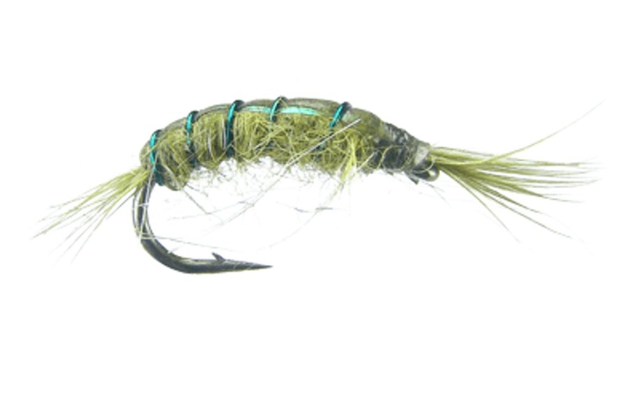 Flies * | Montana Fly Company Scud Reliable Quality