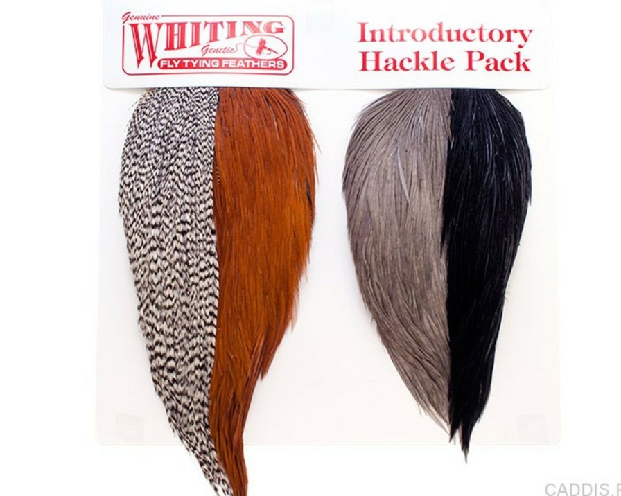 Fly Tying * | Whiting Farms Introductory Hackle Pack Sale Online