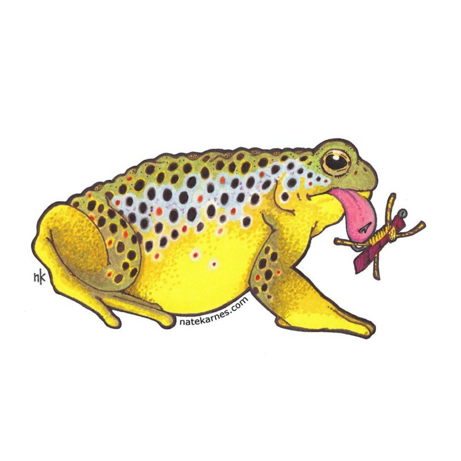 Accessories * | Nate Karnes Toad Brown Trout Decal Quality Guarantee