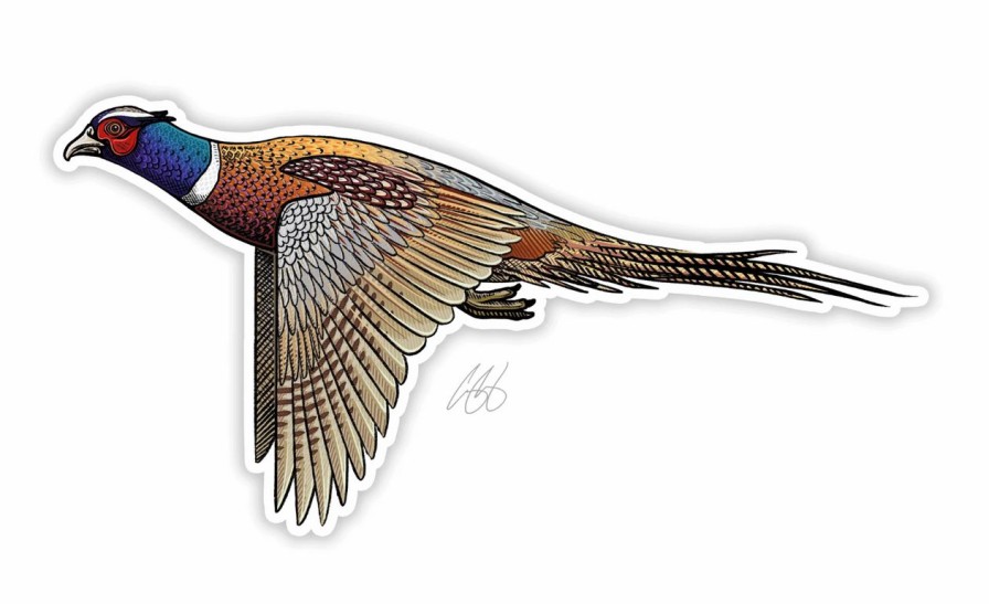 Accessories * | Casey Underwood Ringneck Pheasant Decal Sticker Eds Fly Shop Shop