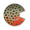 Accessories * | Casey Underwood Colorado Cutthroat Trout Decal Sticker Eds Fly Shop Classical