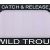 Accessories * | License Plate Frame "Catch And Release Wild Trout" Fly Fishing Stone Creek Hot Selling