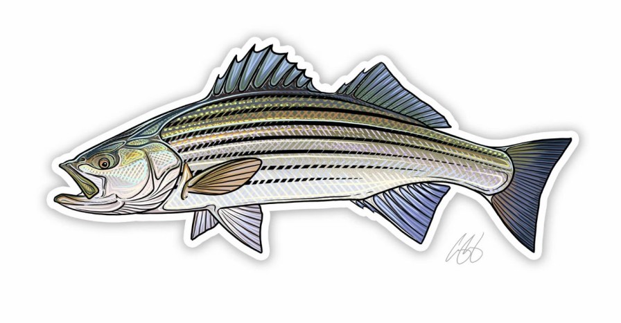 Accessories * | Casey Underwood Striped Bass Decal Sticker Eds Fly Shop High Quality