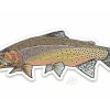 Accessories * | Casey Underwood Westslope Cutthroat Decal Sticker Eds Fly Shop Best Quality